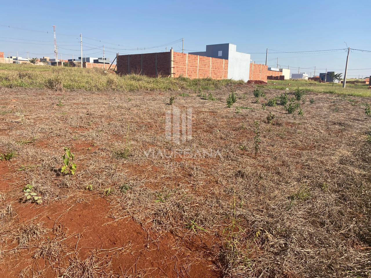 Terreno à venda, 250m² - Foto 3